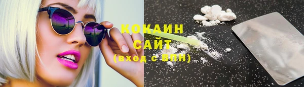 шишки Карабаш