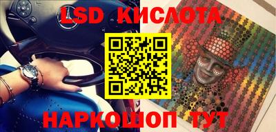 эйфоретик Гатчина