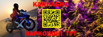 прущие грибы Азнакаево