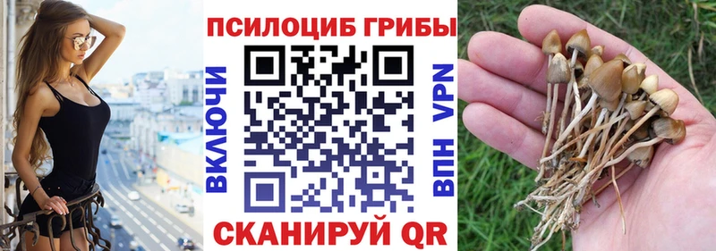 Псилоцибиновые грибы MAGIC MUSHROOMS  это телеграм  Кунгур  купить  